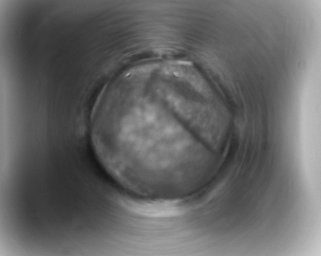 X0000088390032200706051126