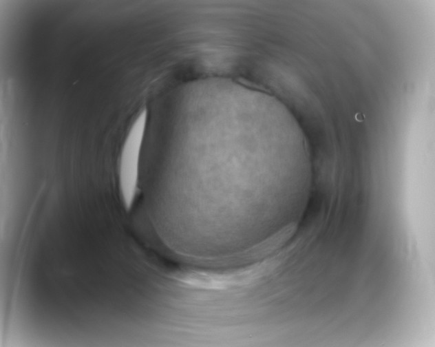 X0000088390033200706051125