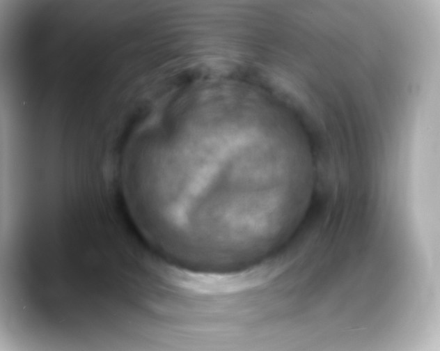 X0000088390034200706051125