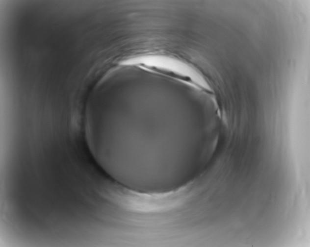 X0000088390035200706051125