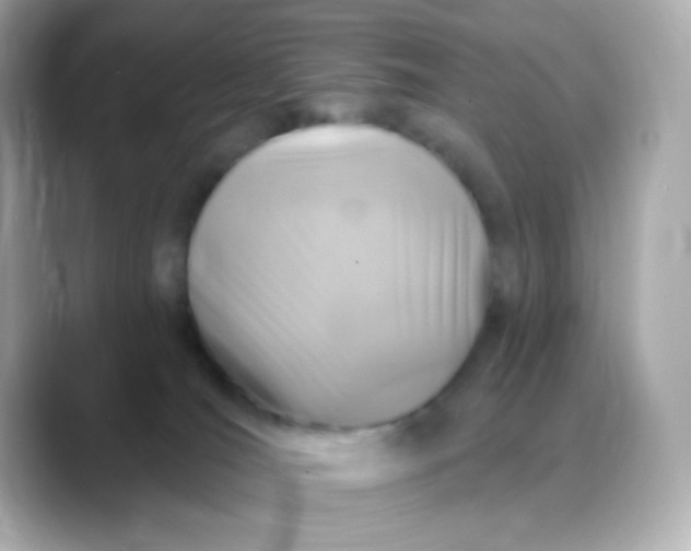 X0000088390036200706051125