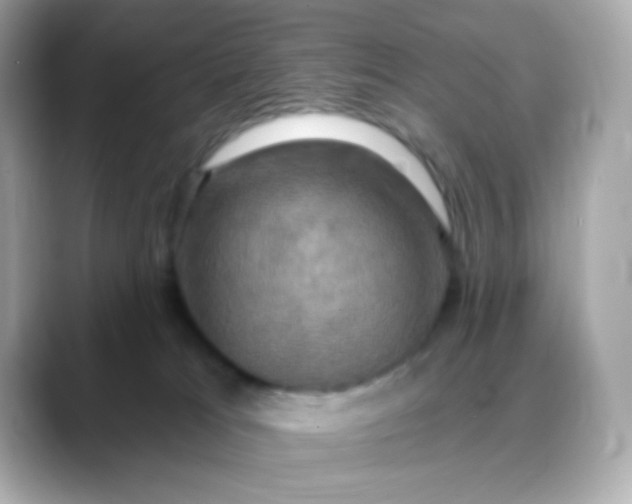 X0000088390037200706051125