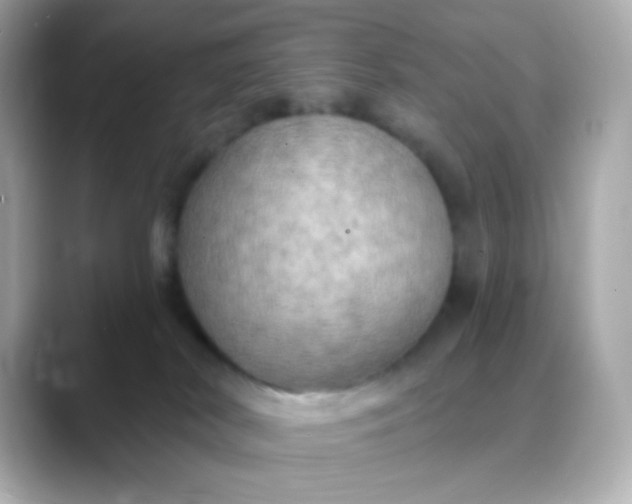 X0000088390038200706051125