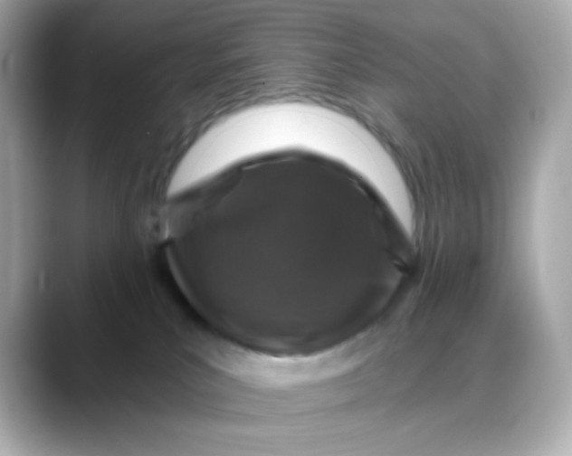 X0000088390039200706051125