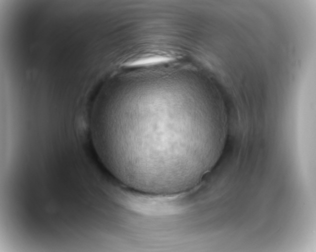 X0000088390040200706051125