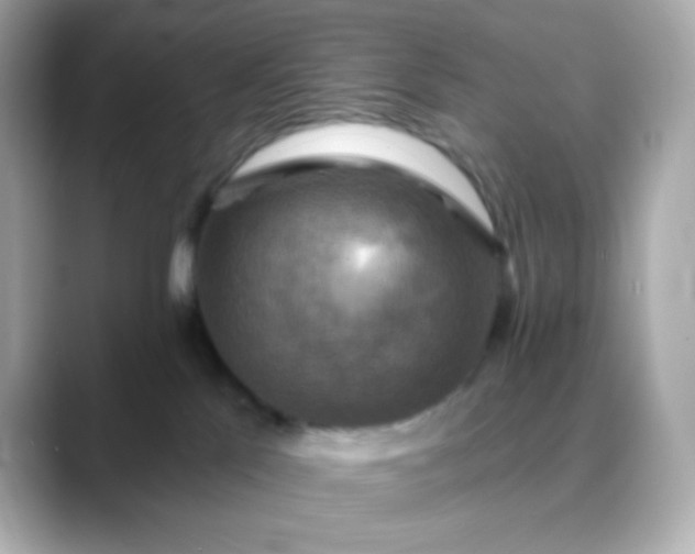 X0000088390041200706051125