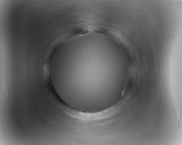 X0000088390043200706051125