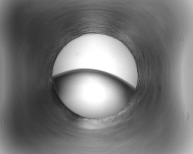 X0000088390045200706051125