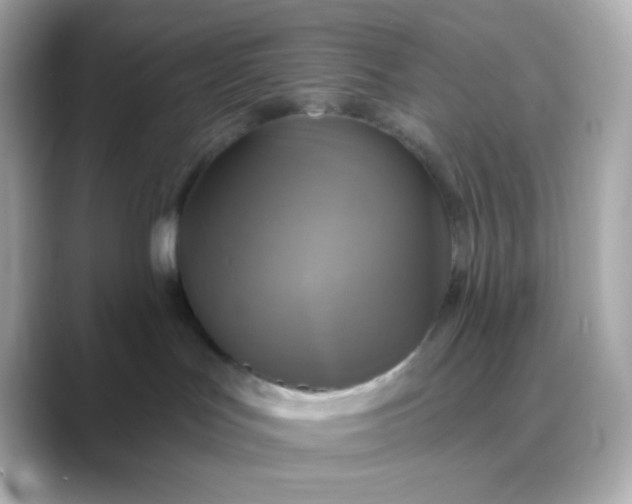 X0000088390047200706051125