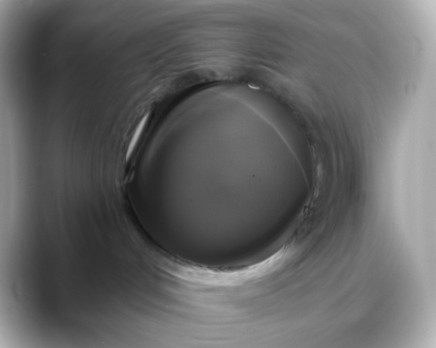 X0000088390048200706051125