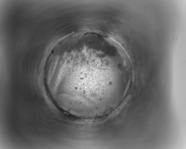 X0000088390049200706051125