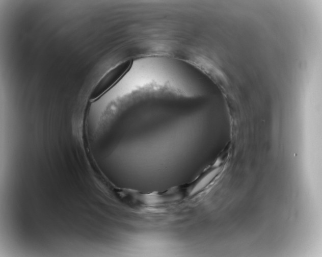 X0000088390051200706051125