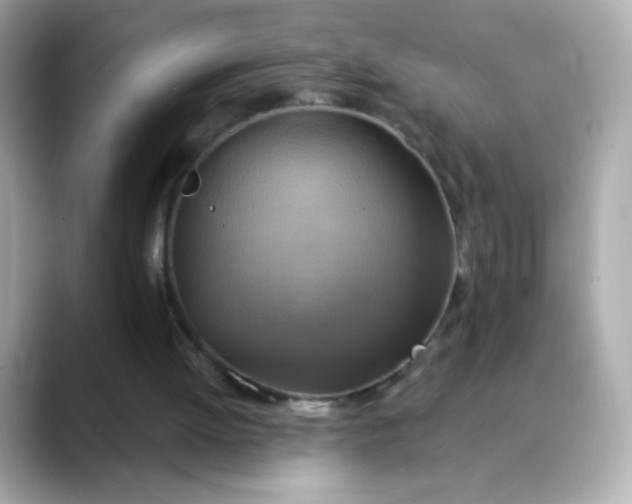 X0000088390052200706051125