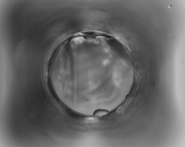 X0000088390053200706051125