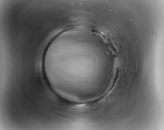 X0000088390054200706051125