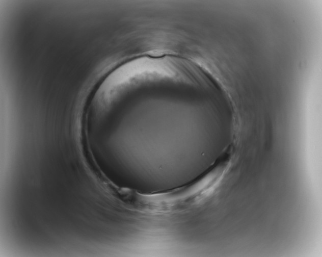 X0000088390055200706051125