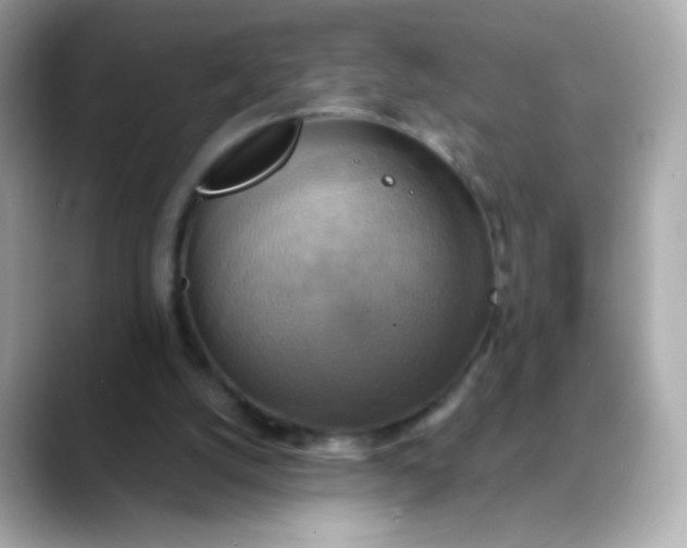 X0000088390056200706051125