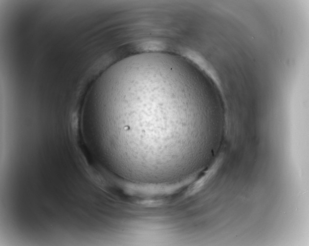 X0000088390057200706051125