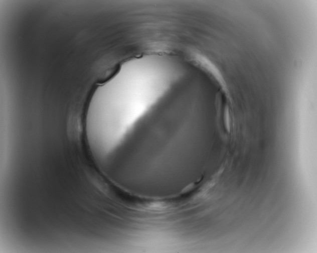 X0000088390059200706051125