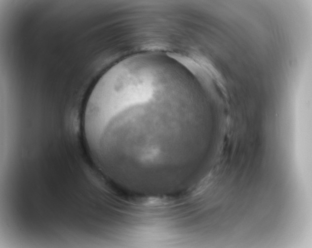 X0000088390060200706051125