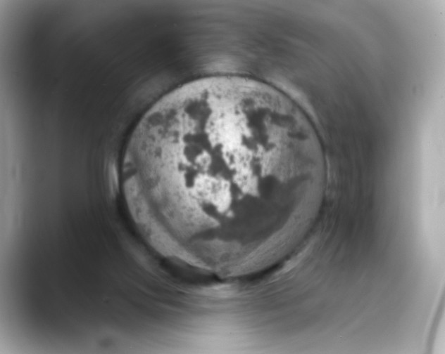 X0000088390061200706051125