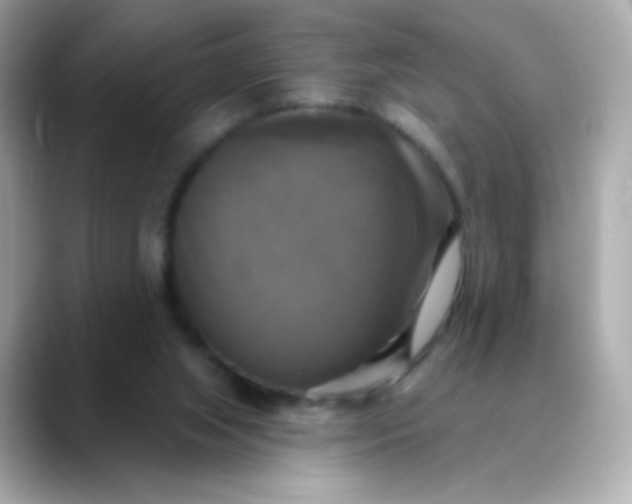 X0000088390063200706051125