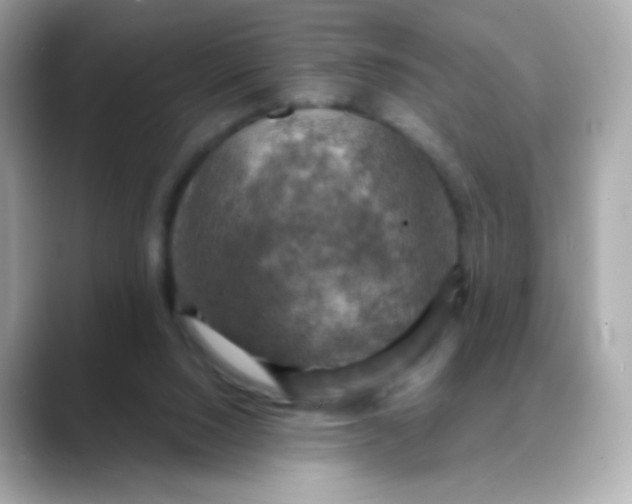 X0000088390064200706051125