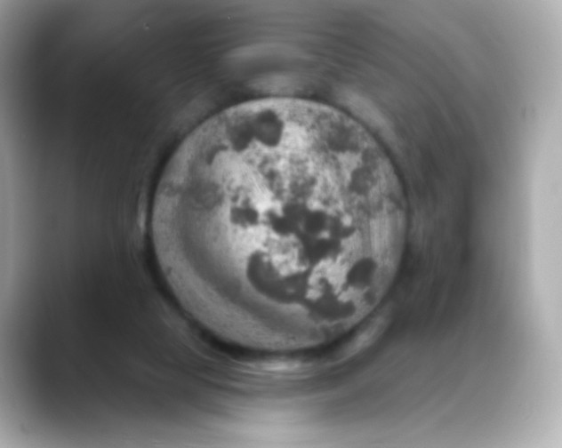 X0000088390065200706051125