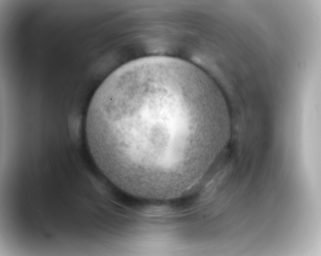 X0000088390066200706051125