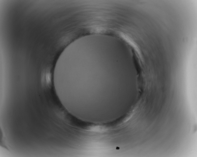 X0000088390067200706051125