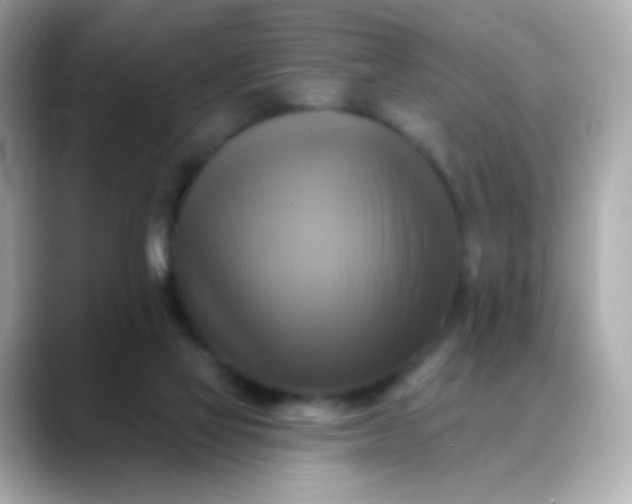 X0000088390069200706051125