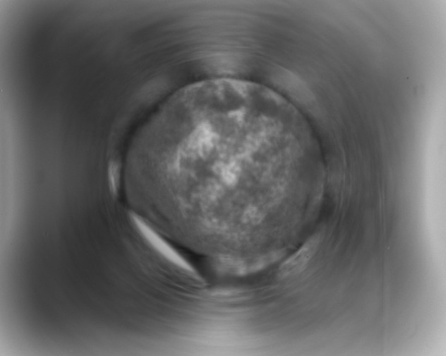 X0000088390070200706051125