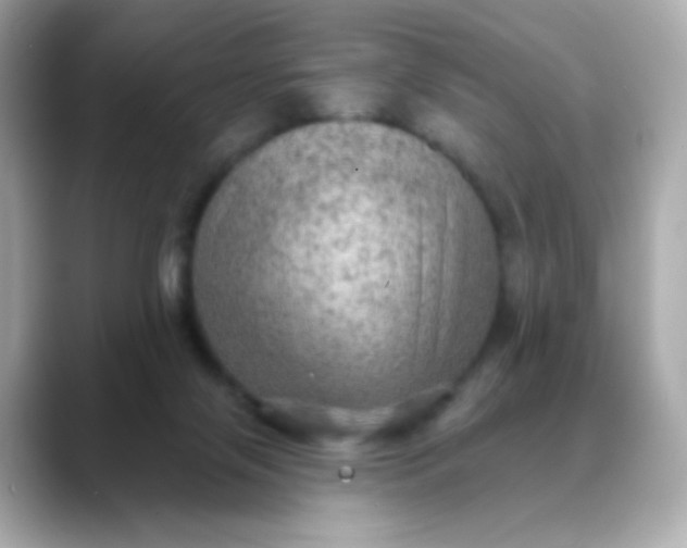 X0000088390071200706051125