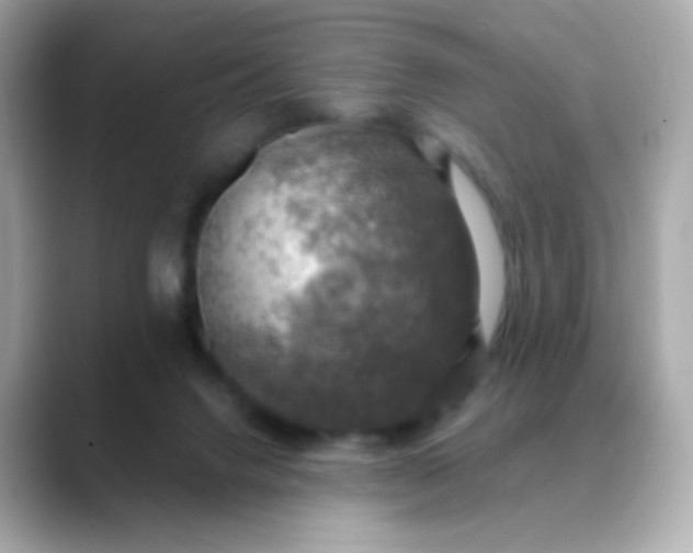 X0000088390072200706051125