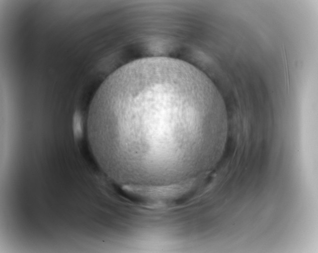 X0000088390075200706051125