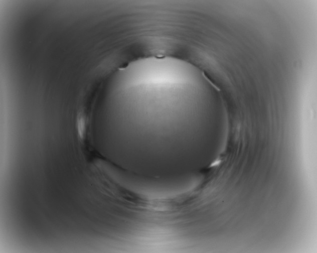 X0000088390076200706051125