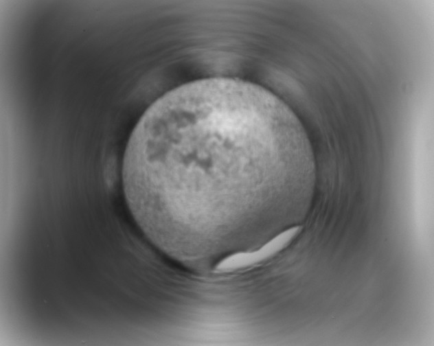 X0000088390077200706051125