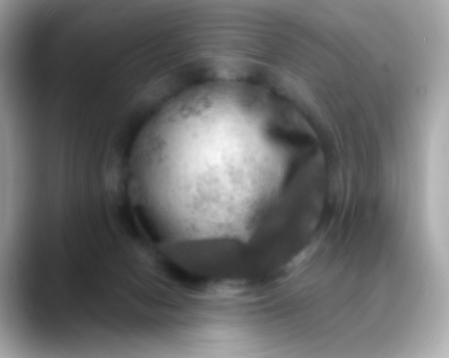 X0000088390078200706051125