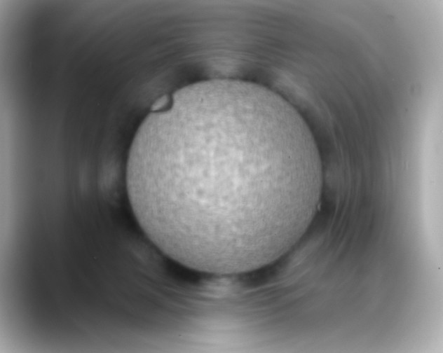 X0000088390079200706051125