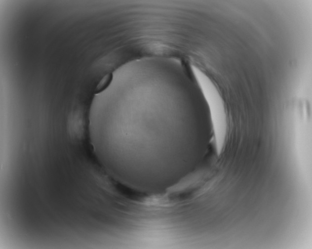 X0000088390080200706051125