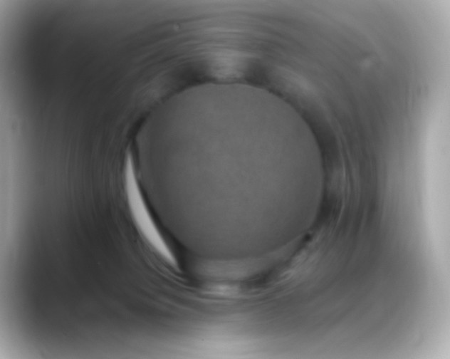 X0000088390084200706051125