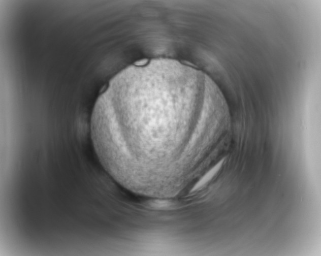 X0000088390085200706051125