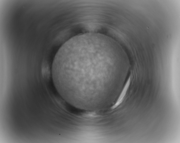 X0000088390086200706051125