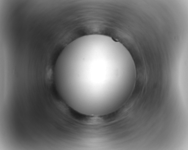 X0000088390087200706051125