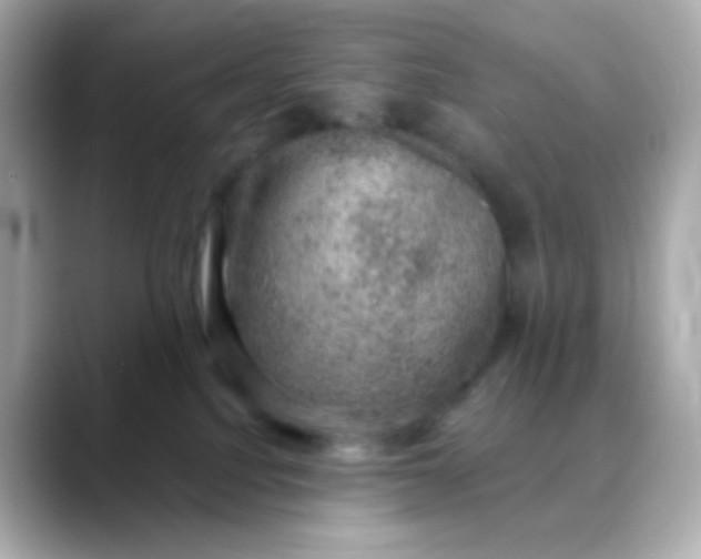 X0000088390088200706051125