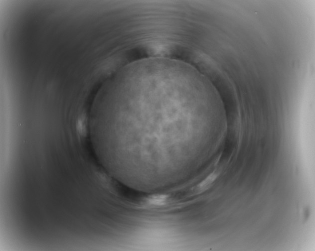 X0000088390090200706051125