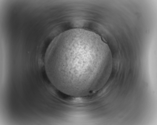 X0000088390091200706051125