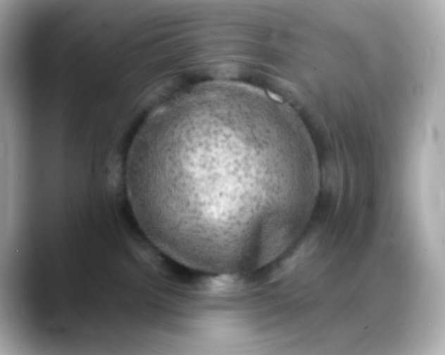 X0000088390092200706051125