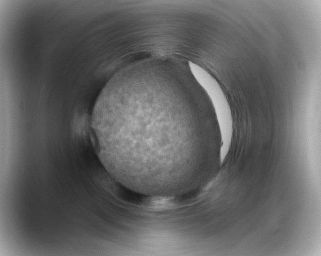 X0000088390093200706051125