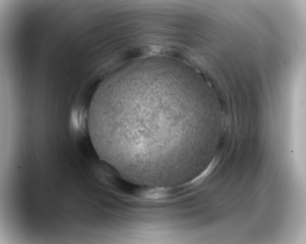 X0000088390094200706051125